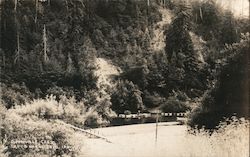 Scenic River View Postcard