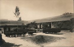 Building courtyard, bushes, trees Sonoma, CA Postcard Postcard Postcard