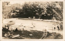 The Pool, Sonoma Mission Inn, Sonoma Co. Postcard