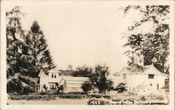 Home of Luther Burbank Postcard