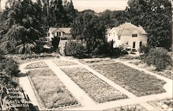 Luther Burbank Gardens Santa Rosa, CA Postcard Postcard Postcard