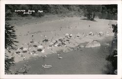 Aerial View of Sunbathers at Park Beach Postcard