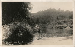 Russian River Terrace Guerneville, CA Postcard Postcard Postcard