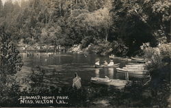 Summer Home Park Hilton, CA Postcard Postcard Postcard