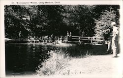 Westminster Woods, Camp Meeker Occidental, CA Postcard Postcard Postcard