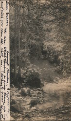 Horse & Buggy at Camp Meeker Postcard