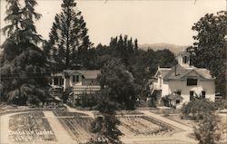 Burbank Garden Santa Rosa, CA Patterson Photograph Postcard Postcard Postcard