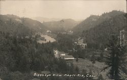 Birds Eye View of Monte-Rio, California Monte Rio, CA Postcard Postcard Postcard