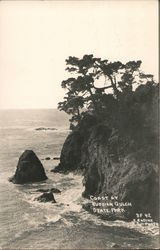 Coast at Russian Gulch State Park Mendocino, CA Postcard Postcard Postcard