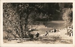 Little Sandy Beach, Bohemian Grove Monte Rio, CA Postcard Postcard Postcard