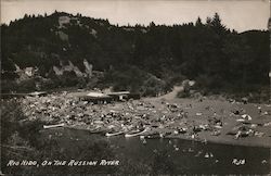 On the Russian River Postcard