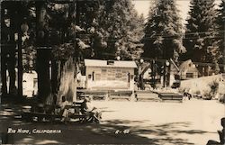 Scenic View Rio Nido, CA Postcard Postcard Postcard