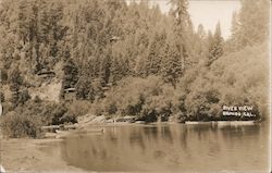 River View Rio Nido, CA Postcard Postcard Postcard