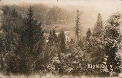 Scenic View Postcard