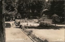 Street Scene Postcard