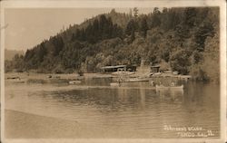 Johnson's Beach Rio Nido, CA Postcard Postcard Postcard