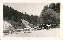 Odd Fellows Recreation Club Guerneville, CA Postcard Postcard Postcard