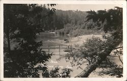 Beach Summer Home Park Forestville, CA Postcard Postcard Postcard