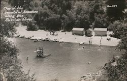 Odd Fellows Beach, Russian River Guerneville, CA Postcard Postcard Postcard