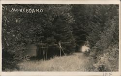 Vacation Campsite at Montesano Guerneville, CA Postcard Postcard Postcard