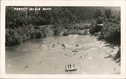 Forest Hills Beach Forestville, CA Hasek Photo Postcard Postcard Postcard