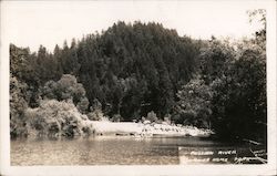 Summerhome Park on the Russian River Postcard