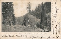 Surveying at Summer Home Park, on the Russian River, Sonoma County Hilton, CA Postcard Postcard Postcard