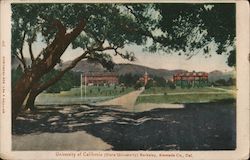 University of California Berkeley Postcard Postcard Postcard