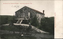 An Olive Oil Packing House Postcard