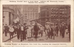 "Walking Woolfs" on Broadway, New York City, reaching the congested districts Postcard