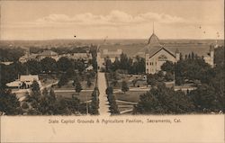 State Capitol Grounds & Agriculture Pavilion Postcard