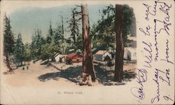 Wilson Peak. View of a camp with cabin and tents. Postcard