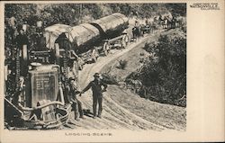 Greetings from Watsonville. Logging Scene. California Postcard Postcard Postcard