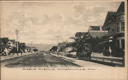 Maple Ave Watsonville, CA Postcard Postcard Postcard