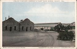 Italian Vineyard Company's Plant (4000 acres) Guasti, CA Postcard Postcard Postcard