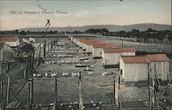 One of Sonoma's poultry farms. California Postcard Postcard Postcard