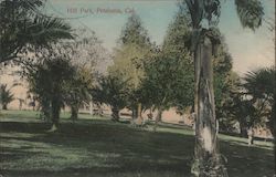 Hill Park Petaluma, CA Postcard Postcard Postcard