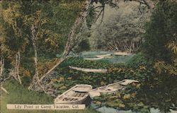 Lily Pond at Camp Vacation California Postcard Postcard Postcard