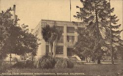 Pacific Coast Shredded Wheat Company Oakland, CA Postcard Postcard Postcard