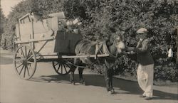 Mule Cart, Easter Sunday, Golden Gate Park Original Photograph