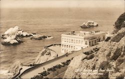 Cliff House and Seal Rooks Postcard