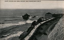 Cliff House and Seal Rocks Postcard