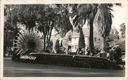 San Francisco Parade float with Horse made of flowers California Postcard Postcard Postcard