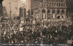 "Long May She Wave" - Peace Crowd Nov 11-18 San Francisco, CA Postcard Postcard Postcard