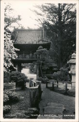 temple - Oriental Tea Garden San Francisco, CA Postcard Postcard Postcard