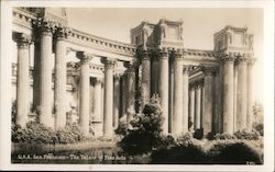 The Palace of Fine Arts San Francisco, CA Postcard Postcard Postcard