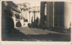 Palace of Fine Arts Postcard