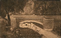 Bridge of the Alum Rock Road Near San Jose, Cal. Postcard