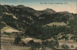 Oat Hill Grade Calistoga, CA Postcard Postcard Postcard