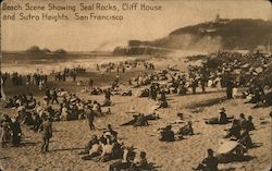 Beach Scene Showing Seal Rocks, Cliff House and Sutro Heights Postcard